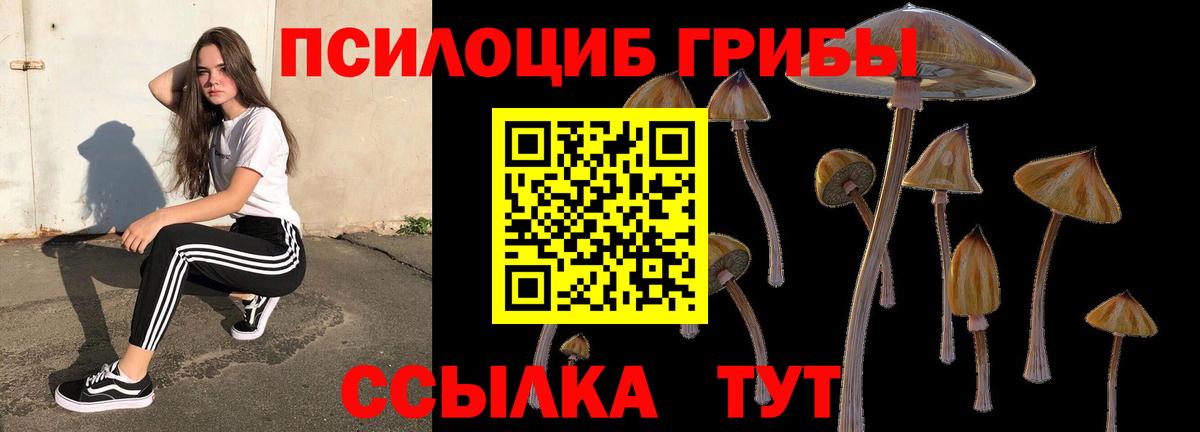 Псилоцибиновые грибы GOLDEN TEACHER  Псилоцибиновые грибы GOLDEN TEACHER  Красноармейск  Вход с VPN 